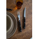 Stainless steel cutlery set knife and fork GRILLI 88877