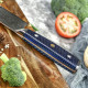 Professional Japanese Santoku Knife Damascus Steel GRILLI 777142